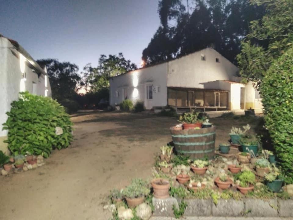 הוילה Macinhata do Vouga Quinta Da Mesa מראה חיצוני תמונה